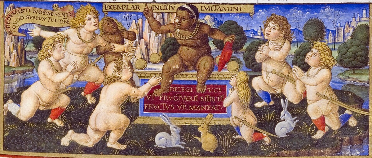 Corte Ludovico il Moro
